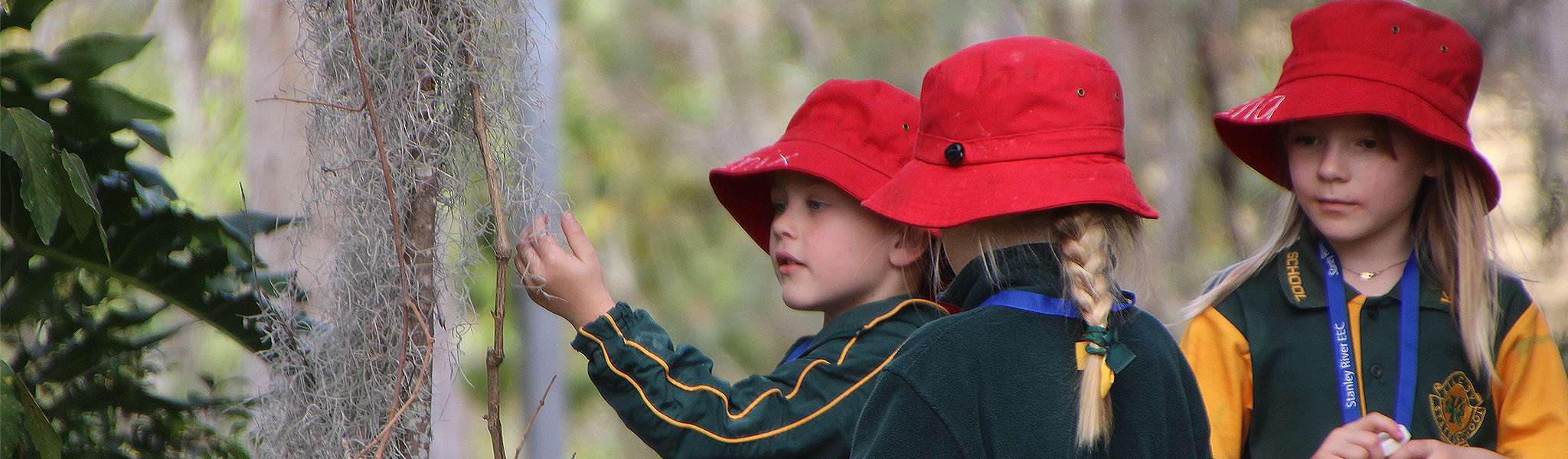  Our junior explorers using Nature Play to discover the environment around them.