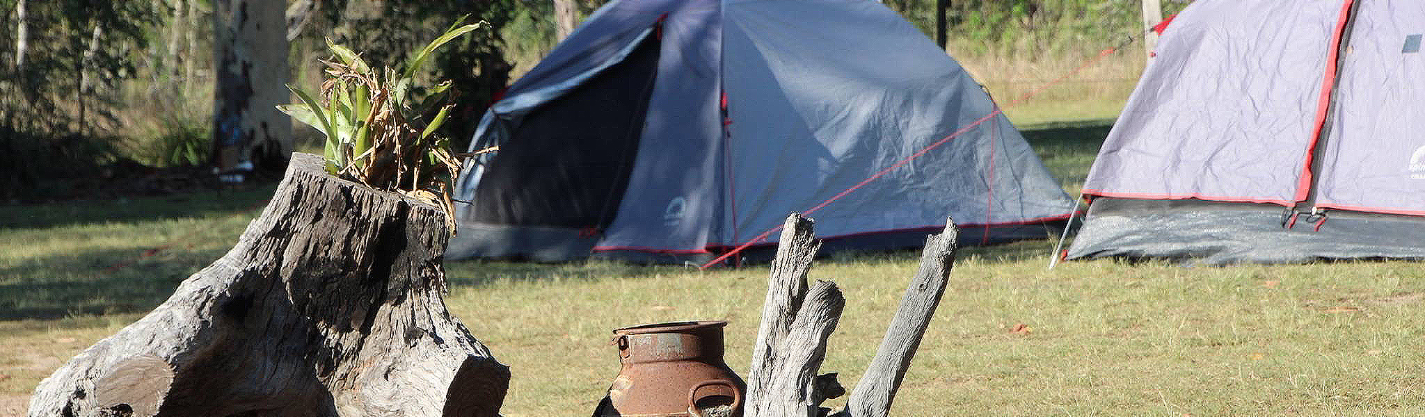  Our Tawny campsite.